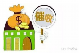 顺德为什么选择专业追讨公司来处理您的债务纠纷？